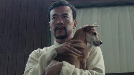 师父在线观看,揭秘网络武术教学的魅力与挑战  第3张